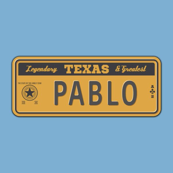 Aprint Decor Placa de Matrícula Decorativa de Aluminio o PVC Impreso de Estilo Vintage Americano Personalizado con Nombre 100% Personalizable 8 Modelos (Texas, PVC 5 mm)