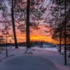 Aprint Decor Vinilo Decorativo para Lavavajillas, Medidas Estandar 67 cm x 76 cm, Hermosa Puesta de Sol de Invierno, Desde Bosque Nevado - Imagen 4