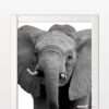 Aprint Decor Vinyl Decorative Adhesive for Doors Photography of Threatening African Elephant - Image 2