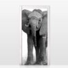 Aprint Decor Vinyl Decorative Adhesive for Doors Photography of Threatening African Elephant