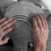 Aprint Decor Vinyl Decorative Adhesive for Doors Photography of Threatening African Elephant - Image 6